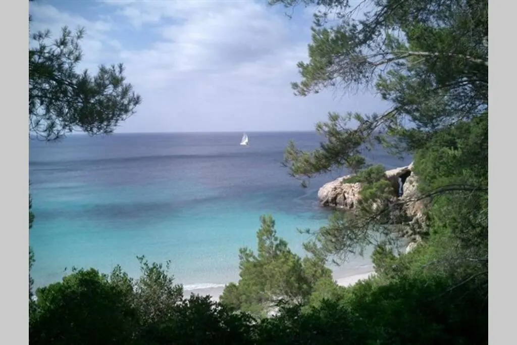 Apartment With Garden And Swimming And Beach Cala Blanca