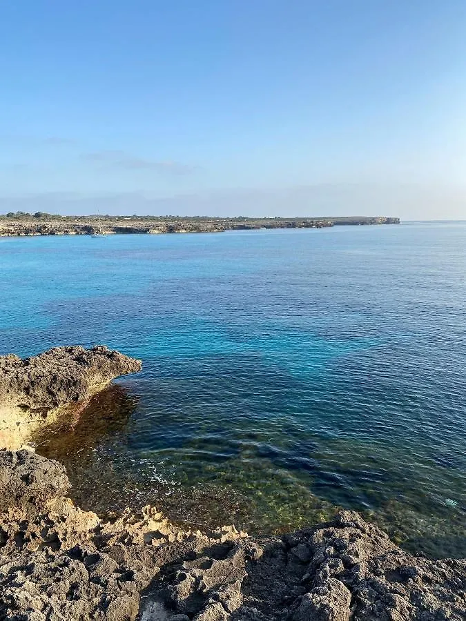 Apartment With Garden And Swimming And Beach Cala Blanca  España