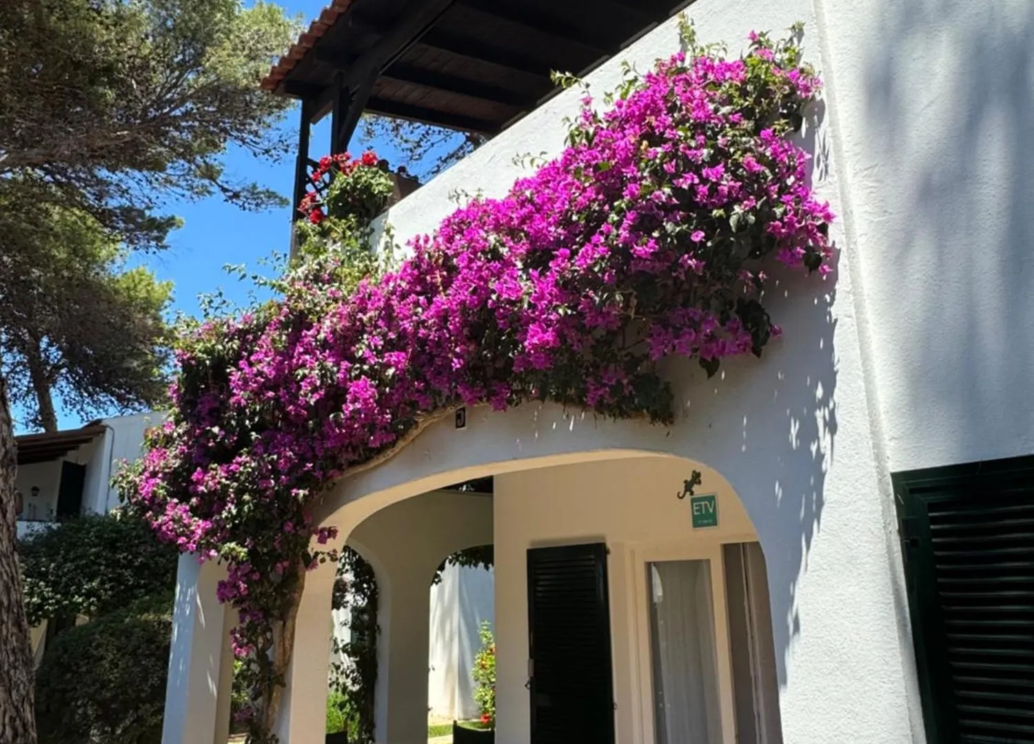 Apartment With Garden And Swimming And Beach Cala Blanca  España